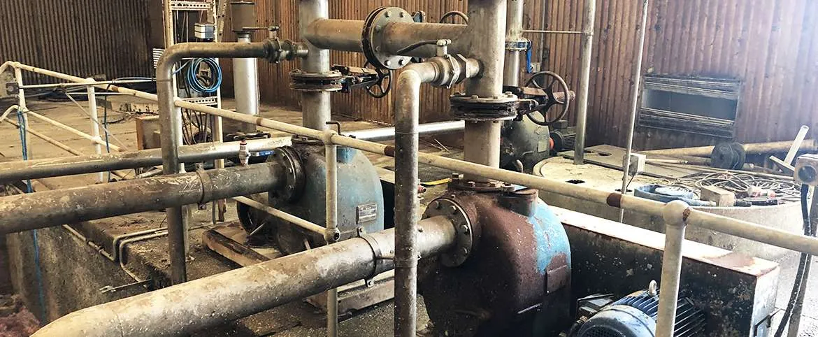 Gorman-Rupp wastewater pumps in operational setting at The Herd Group, showcasing over 30 years of service in food processing industry.